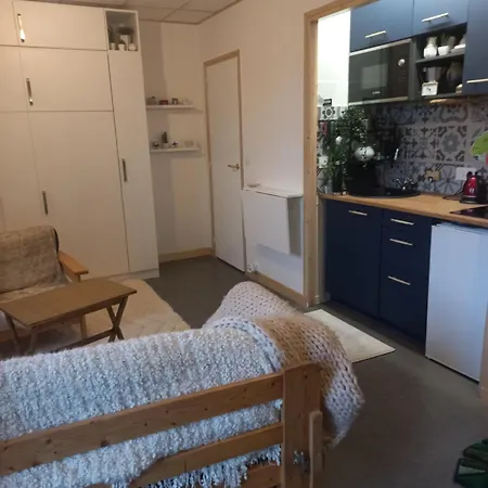 Avec Balcon Et Parking Toulouse